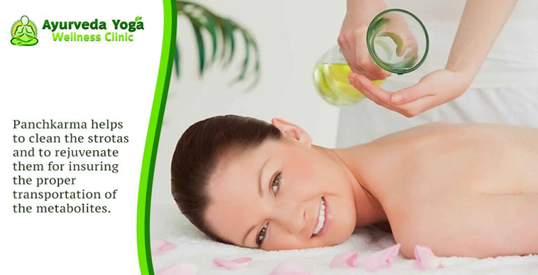 Ayurveda Yoga Wellness Clinic 